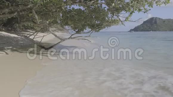 热带海滩海浪在热带树木下的沙滩上翻滚没有压缩没有编辑带有立体声的4K原木视频的预览图