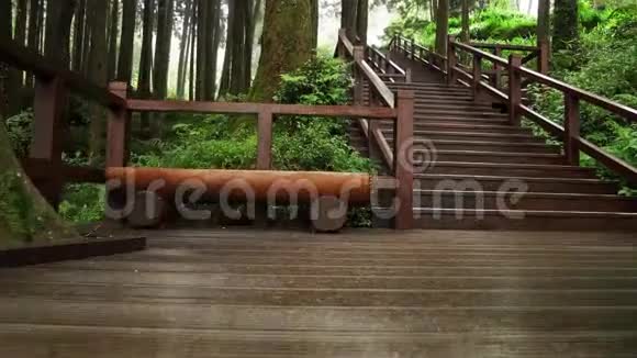 木制步行道穿过阿里山国家公园森林游客用楼梯良好的建设路径视频的预览图