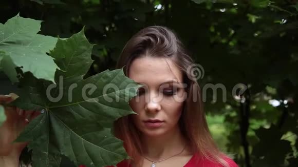 一个穿着红色裙子的女孩脸上长着一片绿色枫树的大叶子视频的预览图