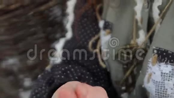 一个红发美女的手在外面特写的冬日里狠狠地僵住了灰姑娘视频的预览图