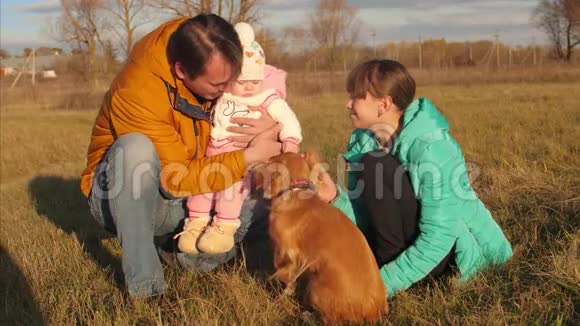 父亲和孩子们抚摸着狗的手视频的预览图