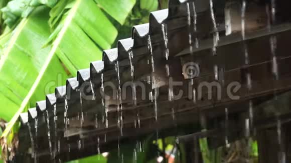 大雨从旧屋顶降下来视频的预览图