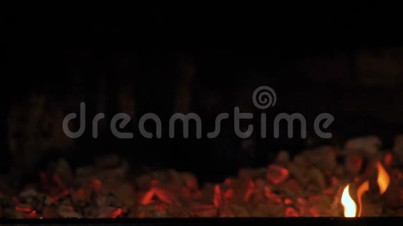 桦木煤烧燃烧食物的煤视频的预览图