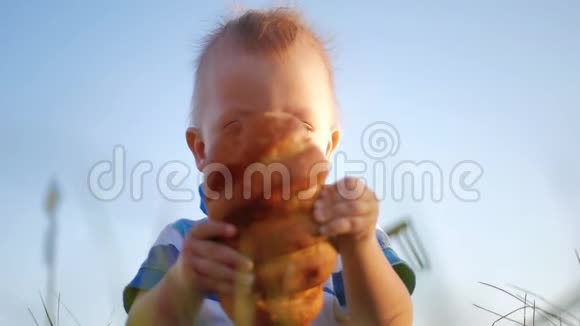 有趣的金发幼儿男孩吃美味的面包坐在绿色的草地户外视频的预览图