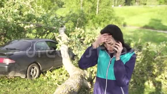 飓风过后的树倒在汽车上女孩叫救援人员视频的预览图