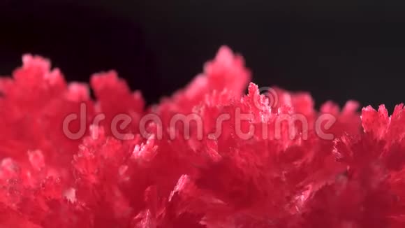 美丽的红色晶体出现是由于家庭经验的化学物质结晶过程发生了视频的预览图