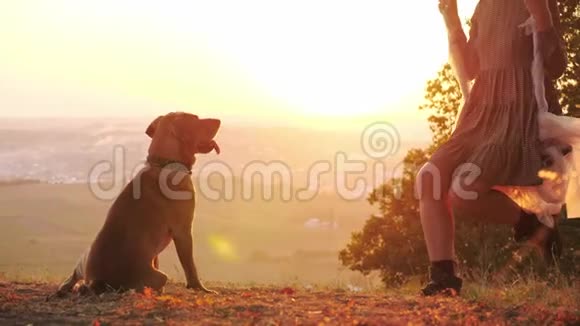 在美丽的夕阳下美丽的少女在秋千上视频的预览图