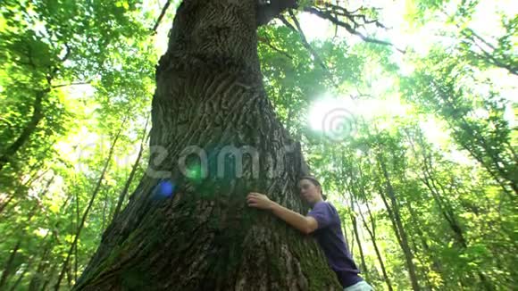 女人抱着一棵漂亮的大橡树视频的预览图
