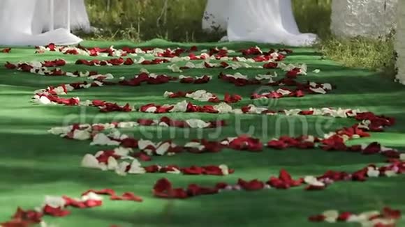 婚礼上地板上的花瓣视频的预览图