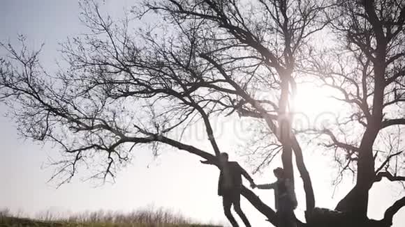 夕阳西下大树旁的小山上逃离的恋人的轮廓视频的预览图