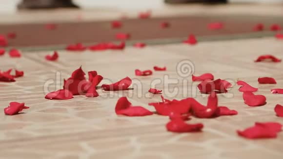 婚礼上地板上的花瓣视频的预览图
