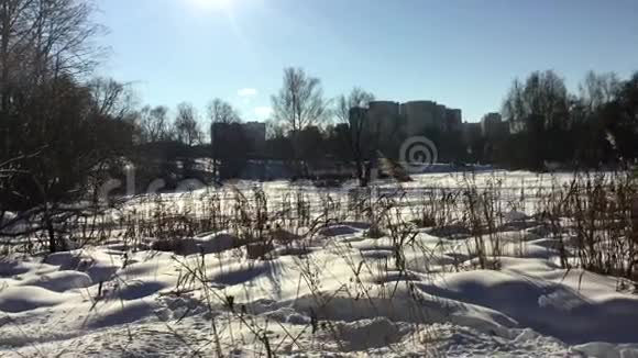 冬天冰冻的河流视频的预览图