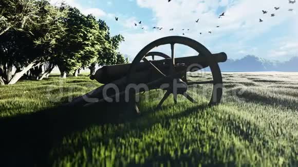 中世纪的一门大炮战前日出时在绿草丛中的田野里视频的预览图
