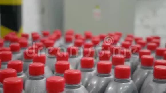 塑料灰色瓶子红色盖子装满液体在工厂室内的传送带上绕圈移动视频的预览图