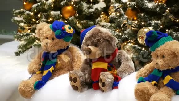 三只玩具熊坐在圣诞树下在商场或购物场所用金球和花环装饰得很漂亮视频的预览图