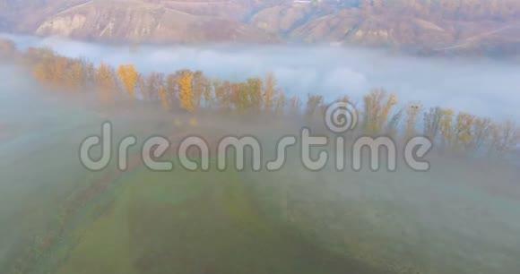 乌克兰晨雾和金色山丘下的河流鸟瞰图视频的预览图
