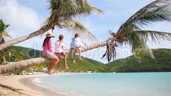 妈妈和两个孩子在白色海滩上玩得很开心一家人坐在棕榈树上视频的预览图