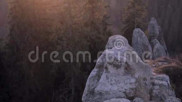 国家公园森林和岩石上的日出升起的太阳美丽地照亮了松树的顶端和视频的预览图