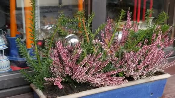 德国纽伦堡圣诞市场上装饰着薰衣草的漂亮窗户视频的预览图