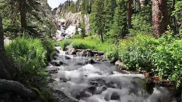 山涧瀑布下视频的预览图