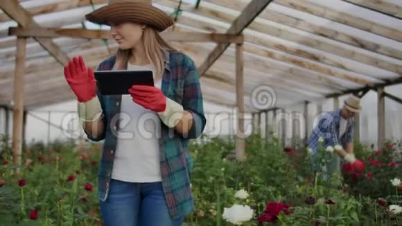 现代的玫瑰农人带着鲜花穿过温室触摸花蕾触摸屏幕视频的预览图