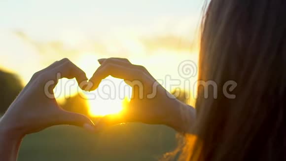 日落的心手女人用双手在日出或日落时在麦田里塑造心脏女孩的心视频的预览图