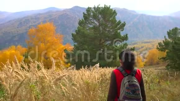 阳光明媚的秋日女游客在秋天的森林里散步徒步旅行者的女人背着背包在山上徒步旅行视频的预览图