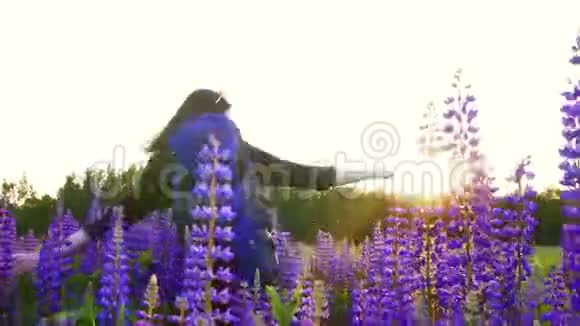 带着背包的女游客在郁郁葱葱的田野里享受日落视频的预览图