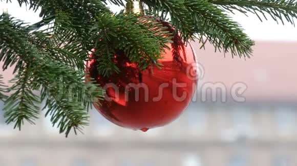 美丽的红色圣诞树玩具挂在街道上的树上行人和行人的倒影都挂在上面视频的预览图