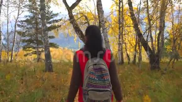 阳光明媚的秋日女游客在秋天的森林里散步徒步旅行者的女人背着背包在山上徒步旅行视频的预览图