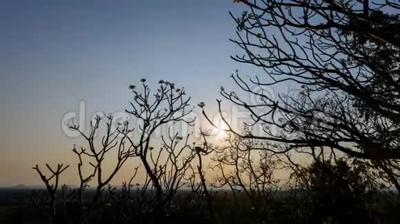 白天到晚上日落的时间与树的肢体视频的预览图