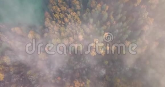 从云层开始森林的空中拍摄镜头慢慢下降视频的预览图