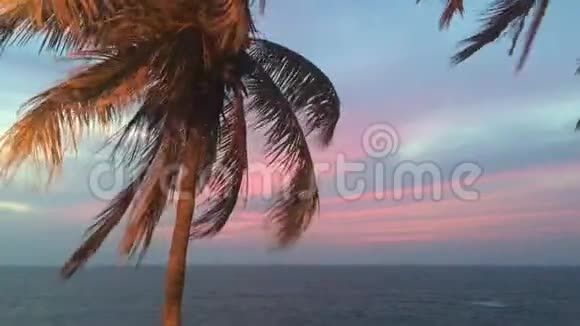 拉维尼亚山酒店海滩景观视频的预览图