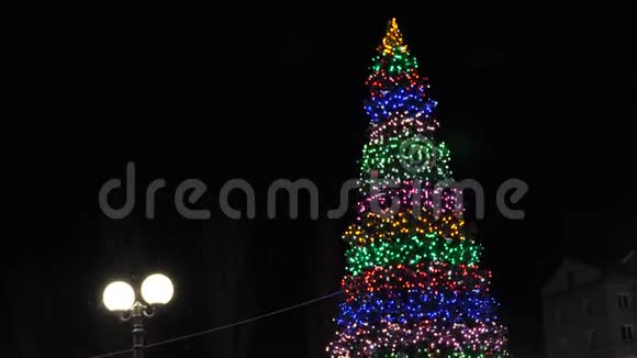 城市广场上的高圣诞树在夜空中装饰着花环和五颜六色的气球小小的雪视频的预览图