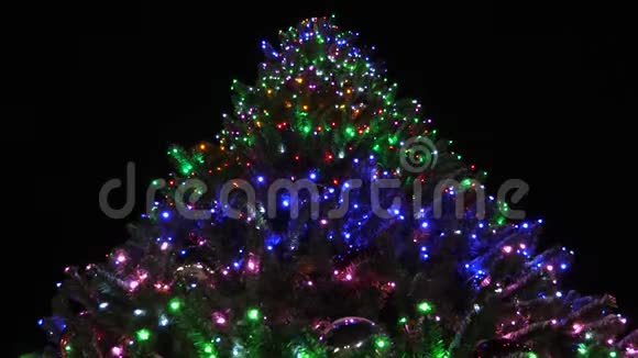 美丽的圣诞树在城市公园装饰花环和彩色气球在夜空小小的雪视频的预览图