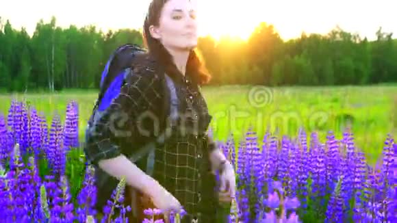女孩徒步旅行者的肖像带着背包带着夕阳的色彩看着镜头里的羽扇豆花视频的预览图