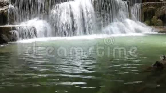 泰国花麦金瀑布视频的预览图