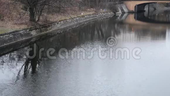 在河里倒影视频的预览图