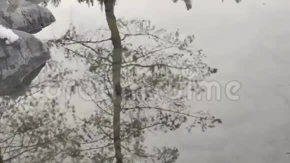 冬季水坑中树木和天空的抽象反射在浅水湖的底部看到石头4K视频的预览图
