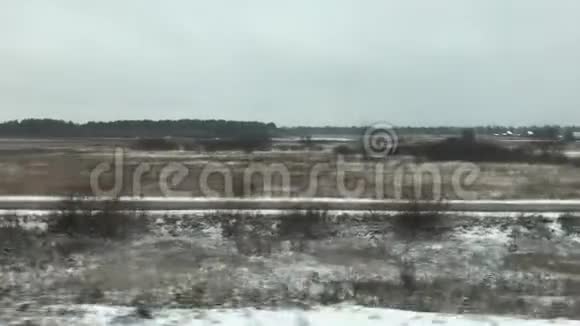 从火车窗口的森林景观视频的预览图
