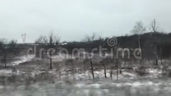 从火车窗口的森林景观视频的预览图