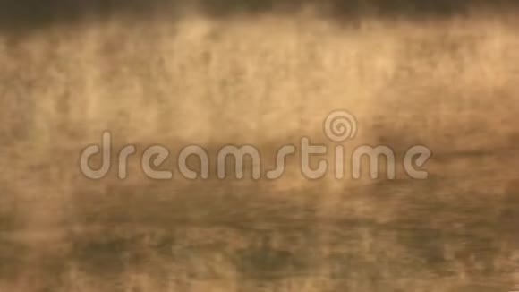 雾在湖面上流动视频的预览图