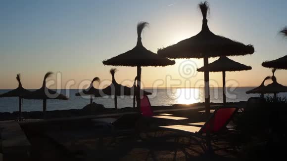 科洛尼亚圣乔迪马略卡西班牙日出时提供草伞和太阳床没有人视频的预览图
