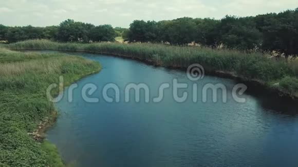 鸟瞰飞越美丽的河流和绿色的木材视频的预览图