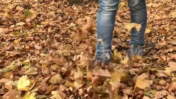 女人在秋天公园散步视频的预览图