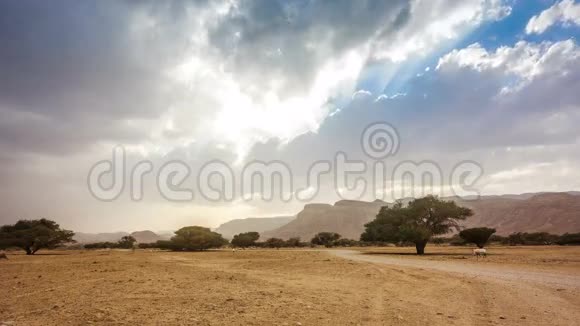 沙漠景观视频的预览图