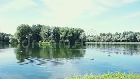 在阳光明媚的日子在大城市里用池塘公园莫斯科公园视频的预览图