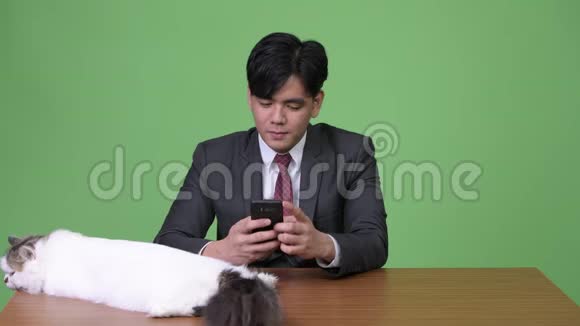 年轻英俊的亚洲商人绿色背景的波斯猫视频的预览图