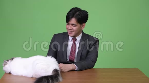 年轻英俊的亚洲商人绿色背景的波斯猫视频的预览图