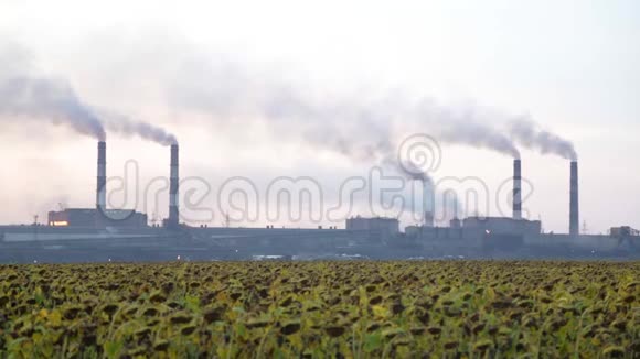 工业工厂烟雾从管道里冒出来在远处种植前景中有一个视频的预览图